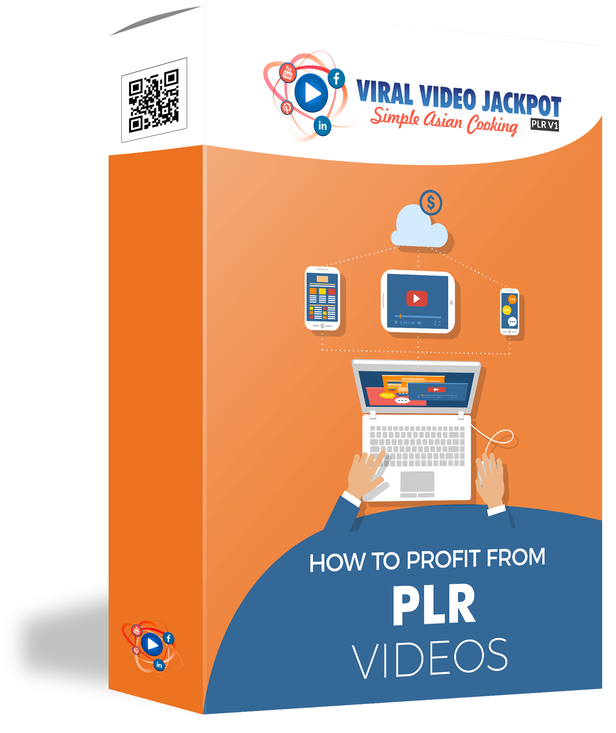 how to profit from PLR videos